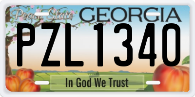 GA license plate PZL1340