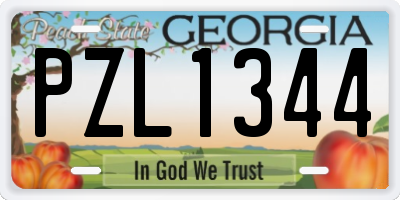 GA license plate PZL1344