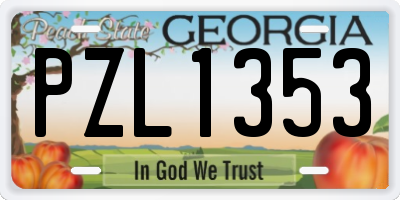 GA license plate PZL1353