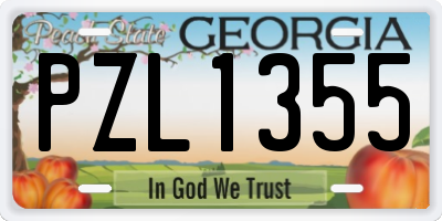 GA license plate PZL1355