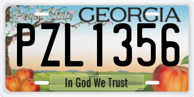 GA license plate PZL1356