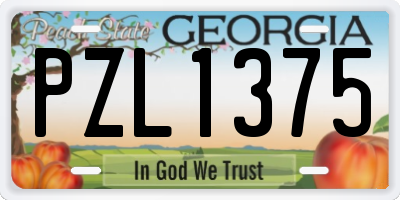 GA license plate PZL1375