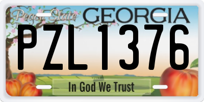 GA license plate PZL1376