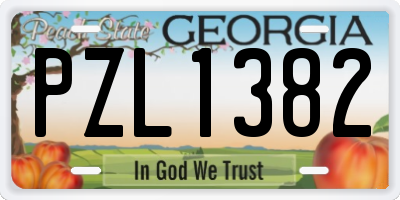 GA license plate PZL1382