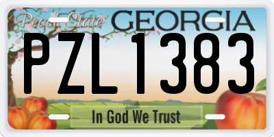 GA license plate PZL1383