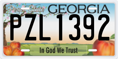 GA license plate PZL1392