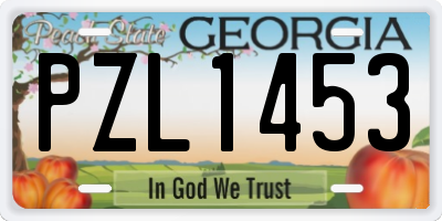 GA license plate PZL1453