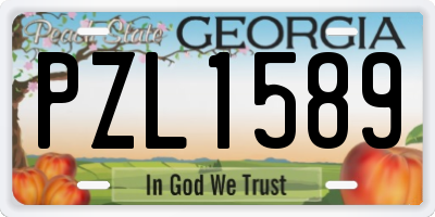 GA license plate PZL1589