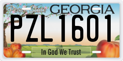 GA license plate PZL1601