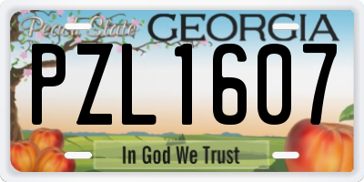 GA license plate PZL1607