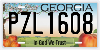 GA license plate PZL1608