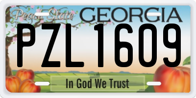 GA license plate PZL1609