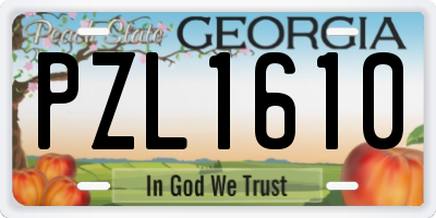 GA license plate PZL1610