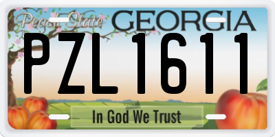 GA license plate PZL1611
