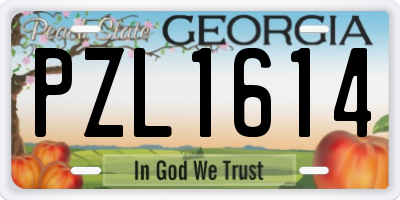 GA license plate PZL1614