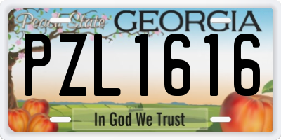 GA license plate PZL1616