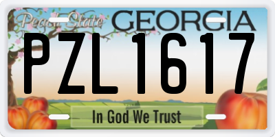 GA license plate PZL1617