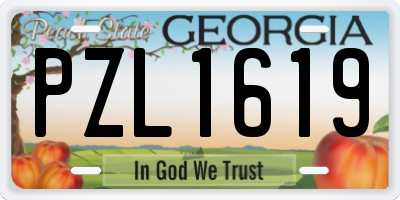 GA license plate PZL1619