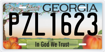 GA license plate PZL1623
