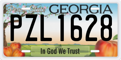 GA license plate PZL1628
