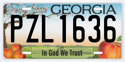 GA license plate PZL1636