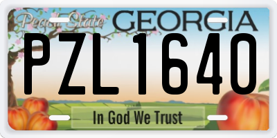 GA license plate PZL1640