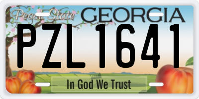 GA license plate PZL1641