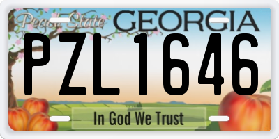 GA license plate PZL1646