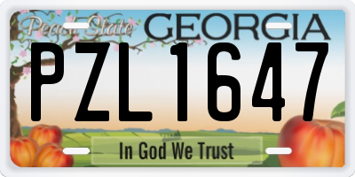 GA license plate PZL1647