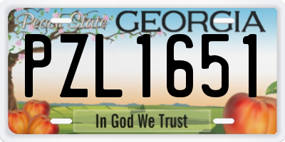 GA license plate PZL1651