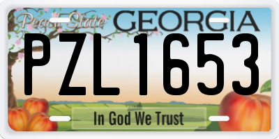 GA license plate PZL1653