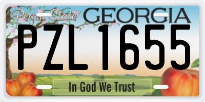 GA license plate PZL1655