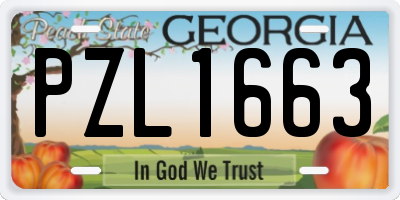 GA license plate PZL1663