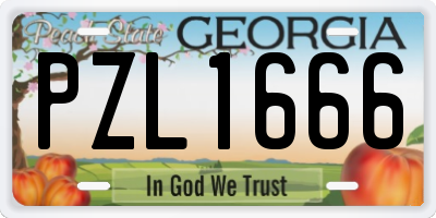 GA license plate PZL1666