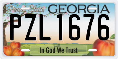 GA license plate PZL1676