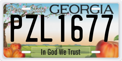 GA license plate PZL1677