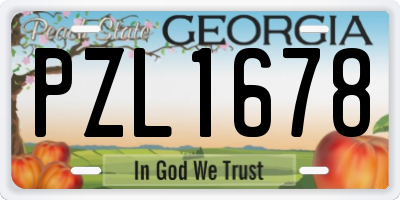 GA license plate PZL1678