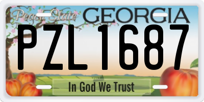GA license plate PZL1687
