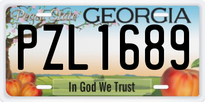 GA license plate PZL1689
