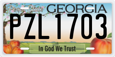 GA license plate PZL1703