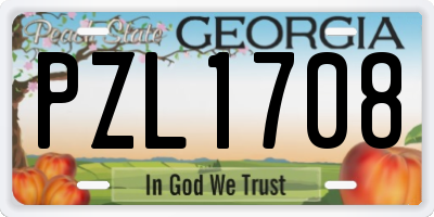 GA license plate PZL1708