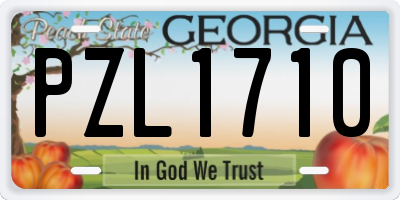 GA license plate PZL1710