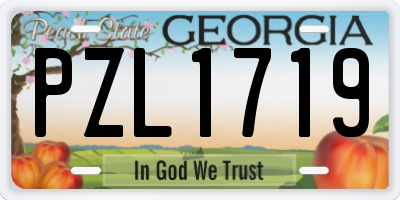 GA license plate PZL1719