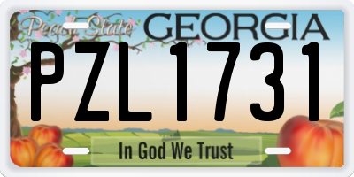 GA license plate PZL1731
