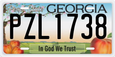 GA license plate PZL1738