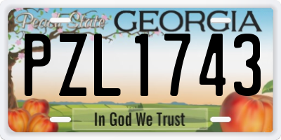 GA license plate PZL1743