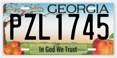 GA license plate PZL1745