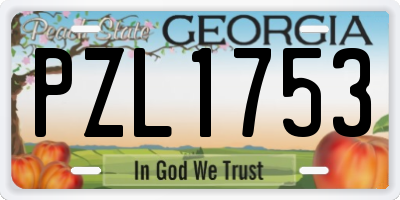 GA license plate PZL1753