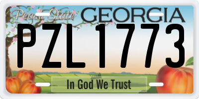 GA license plate PZL1773