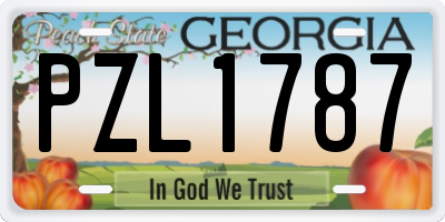 GA license plate PZL1787